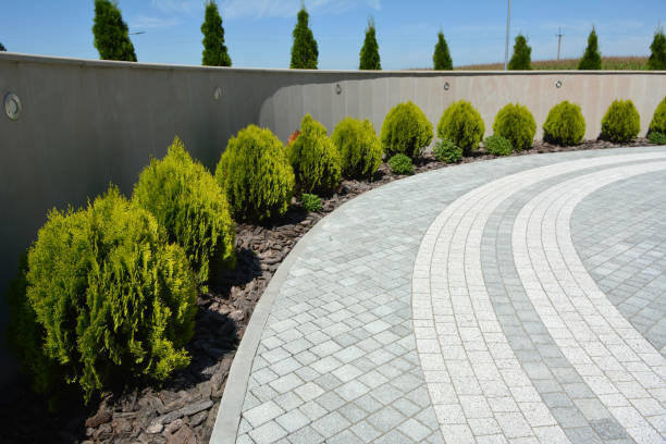 Best Decorative Driveway Pavers  in Fulton, MS